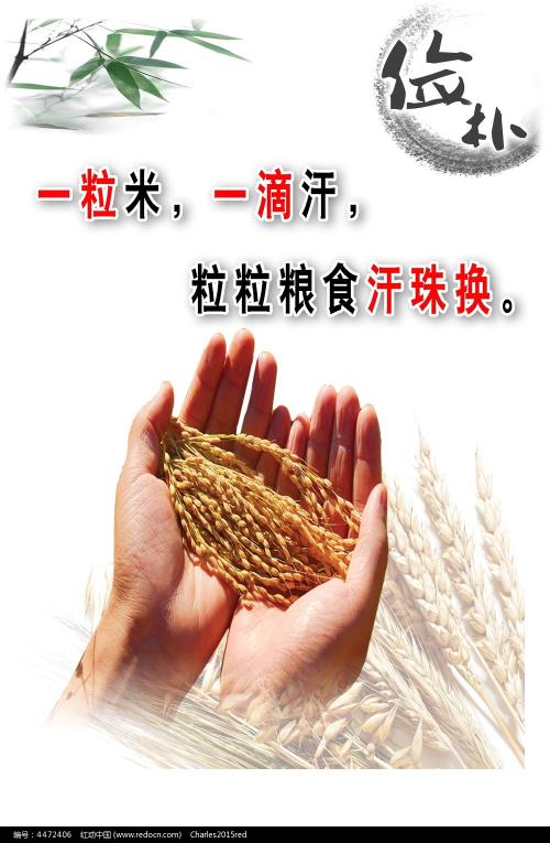 塔科马校区学位证办理